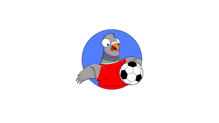 Calzado Deportivo para Caballero | Guayos, Tenis y Sneakers 2025