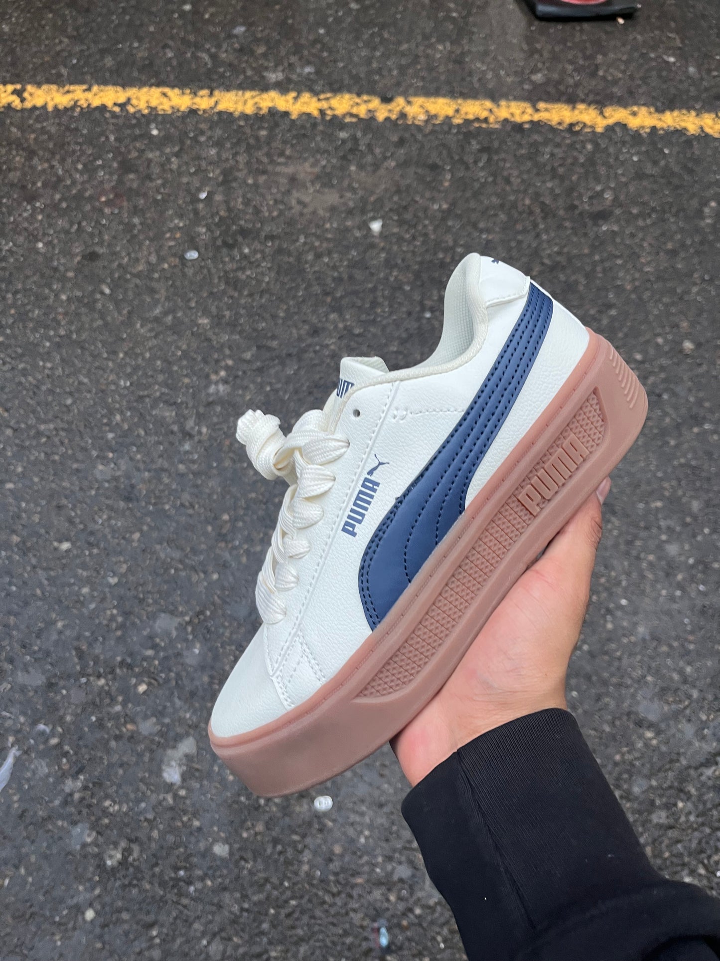 Puma Park