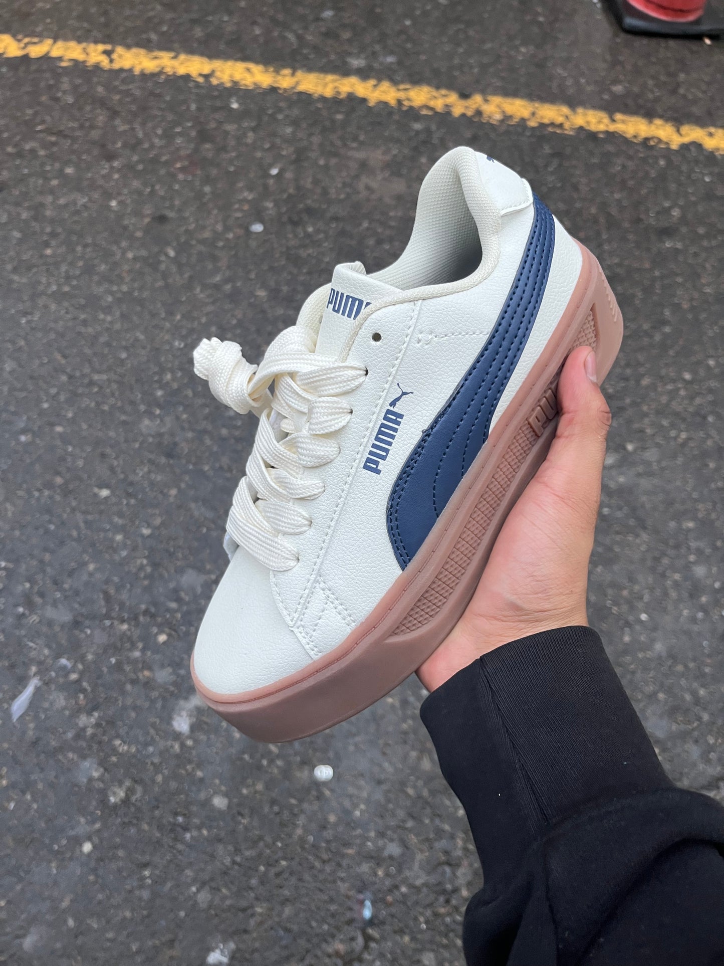Puma Park