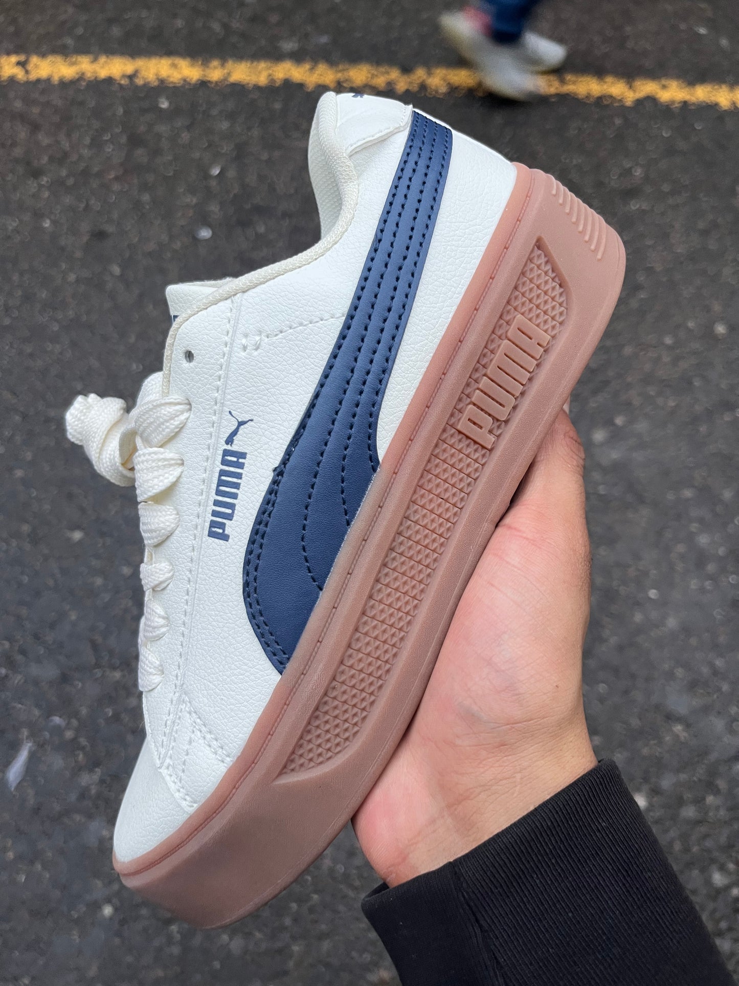 Puma Park