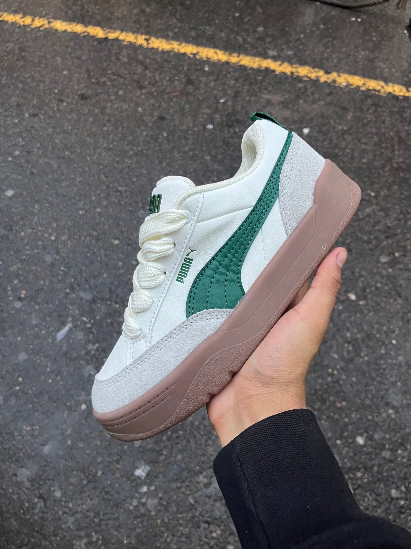 Puma Park