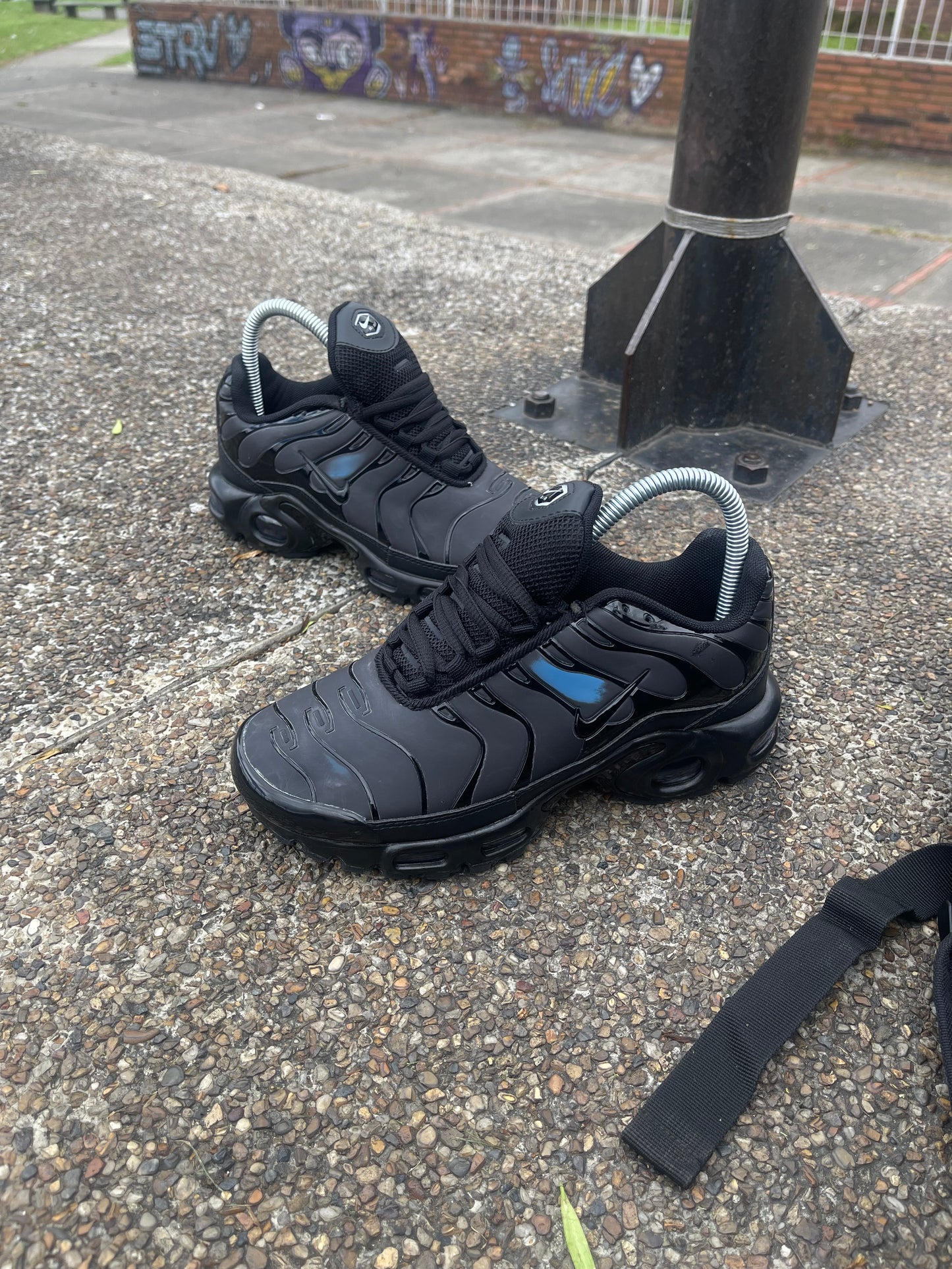 Nike Air Max Plus TN Camaleón Azul