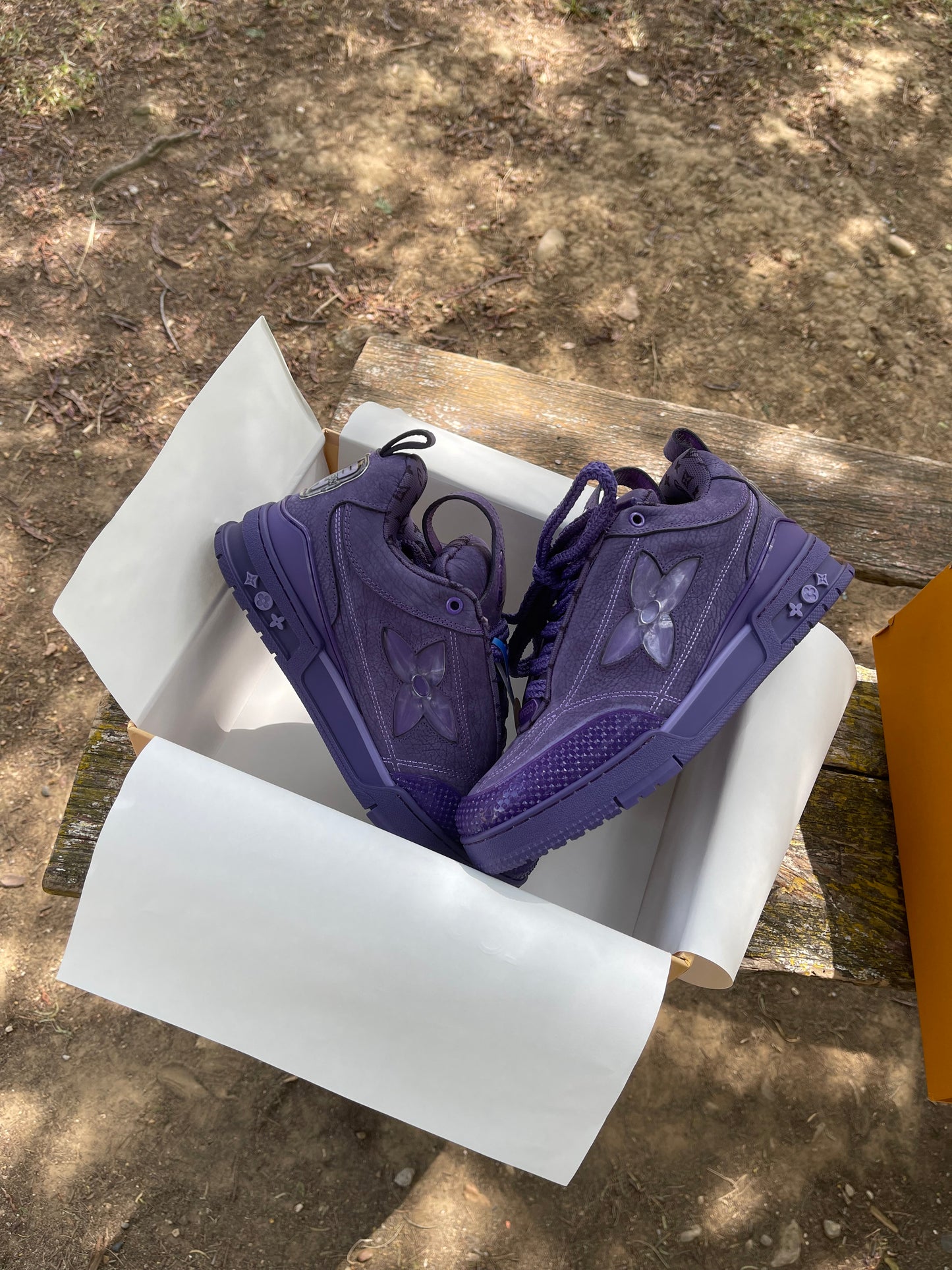 Louis Vuitton LV SKATE 2