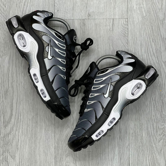 Nike TN Gris Negra (1.1)