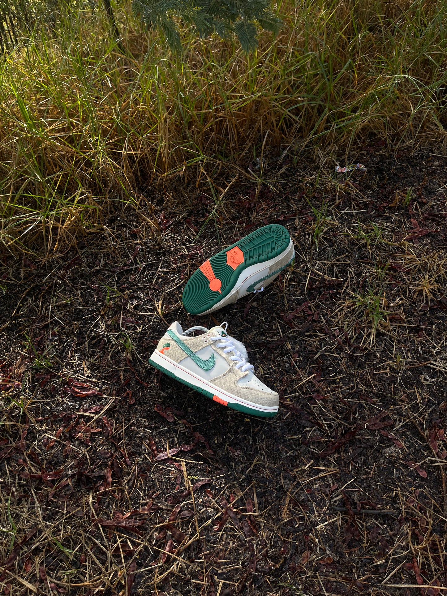 Nike SB Dunk x Jarritos