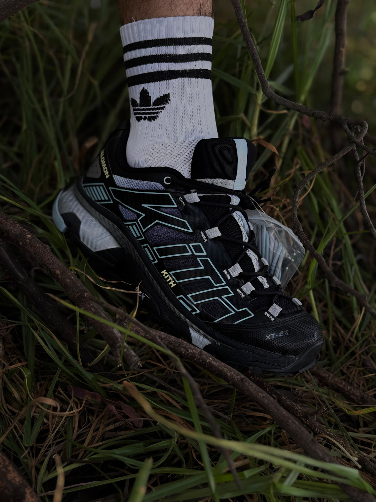 Salomon