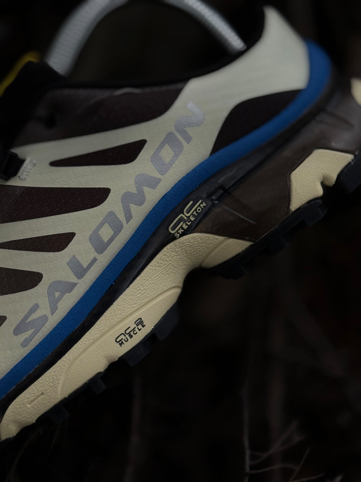 Salomon