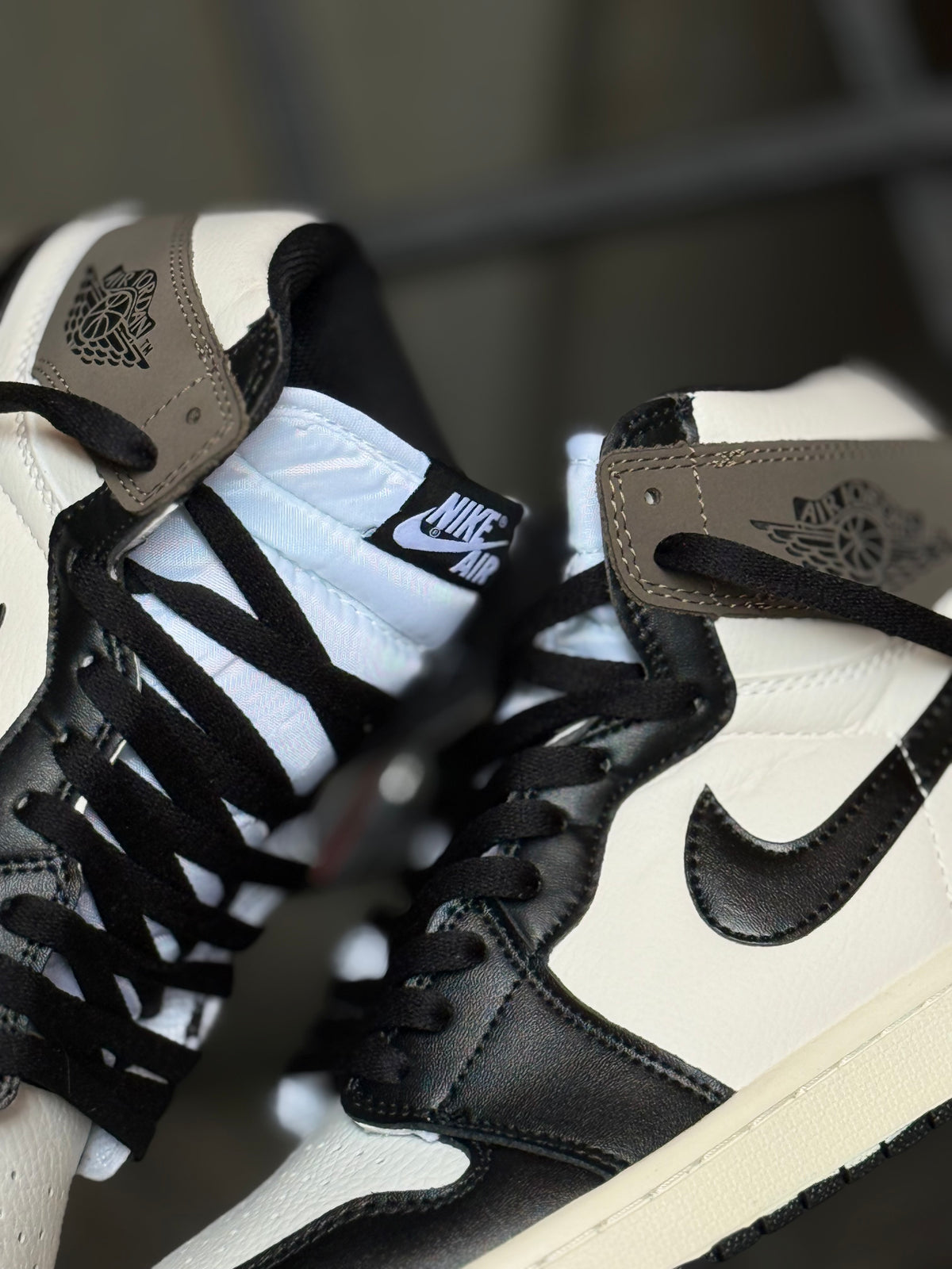 Air Jordan Retro 1