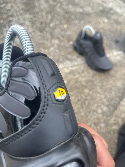 Nike Air Max Plus TN Camaleón Rojo