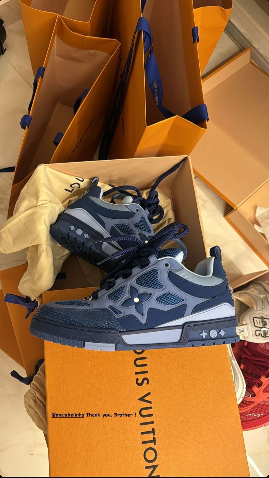 LV Skate