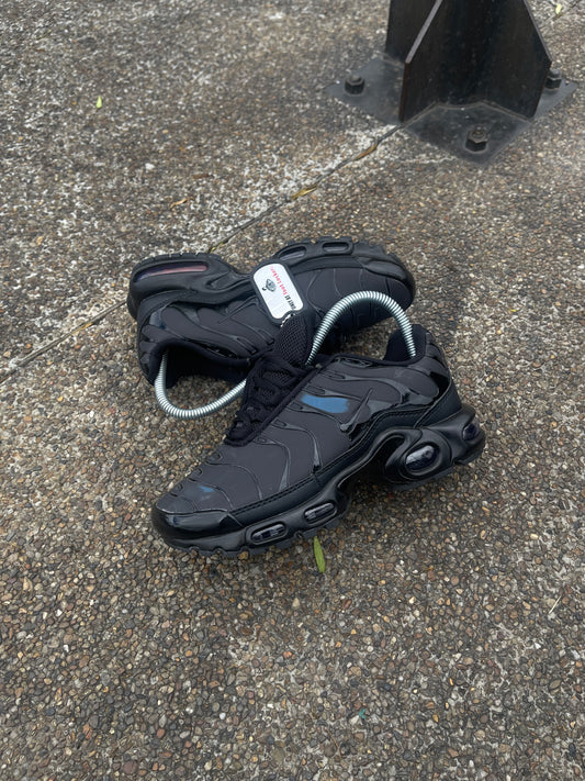 Nike Air Max Plus TN Camaleón Azul