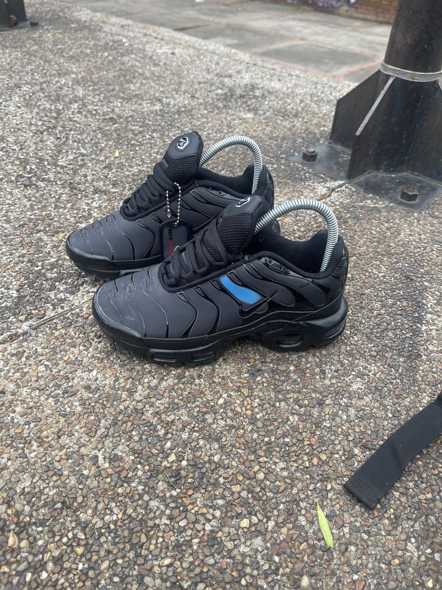 Nike Air Max Plus TN Camaleón Azul