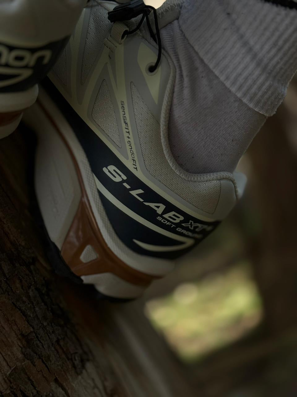 Salomón XT-6
