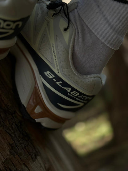 Salomón XT-6