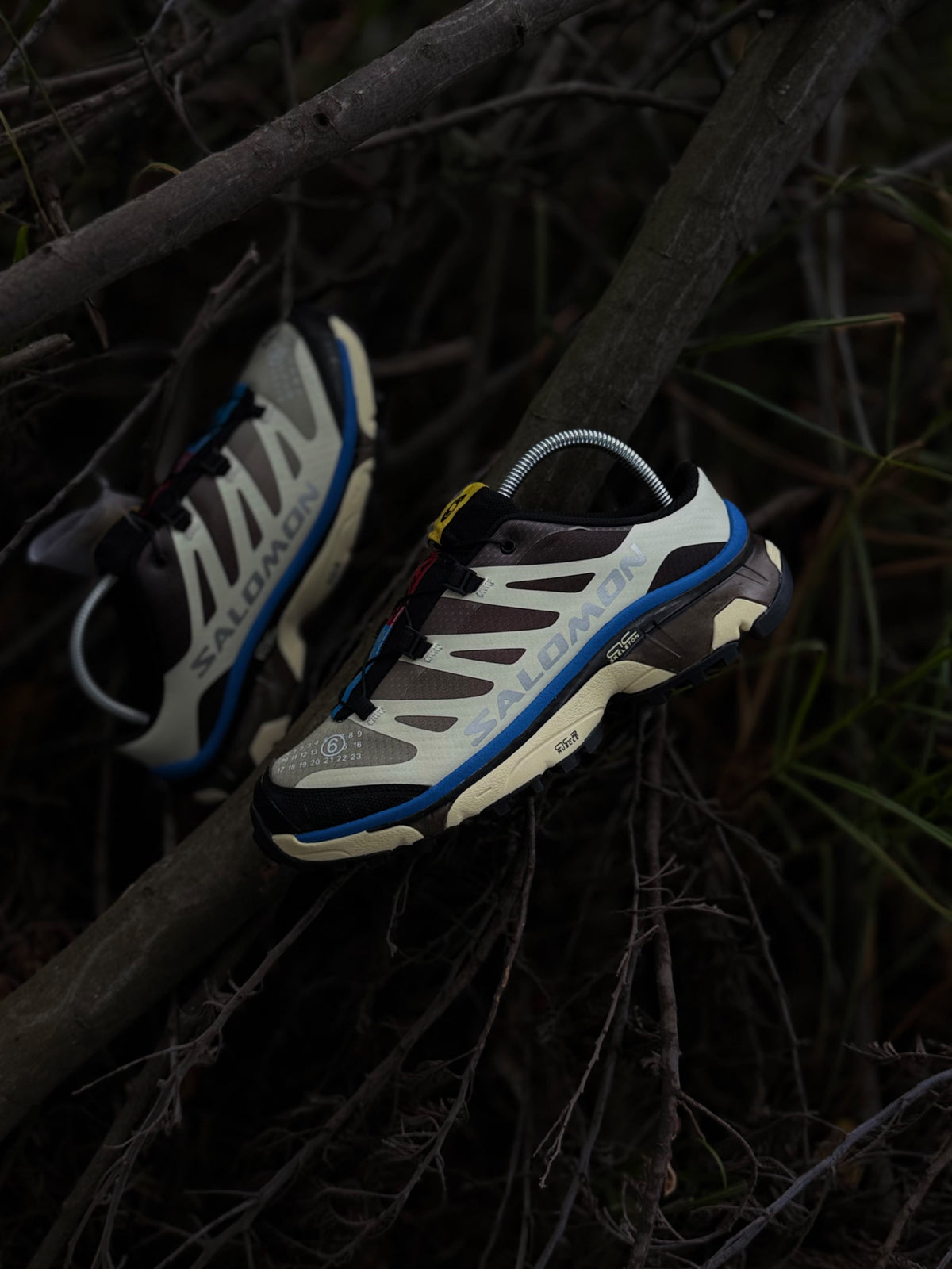 Salomon