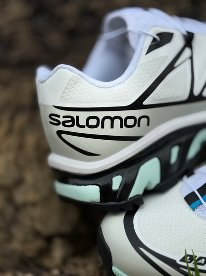Salomón XT-6