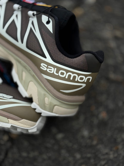 Salomón XT-6