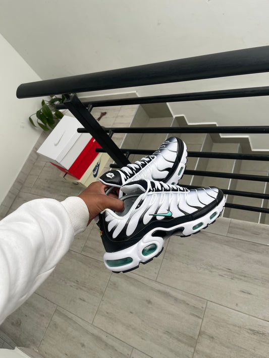 Nike Air Max Plus TN Black/White