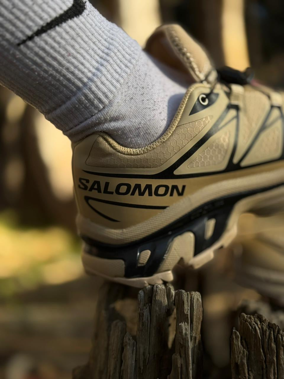 Salomón XT-6